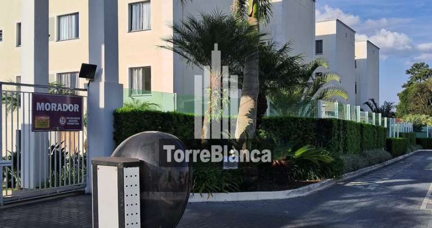 Apartamento térreo , Uvaranas, Ponta Grossa, PR