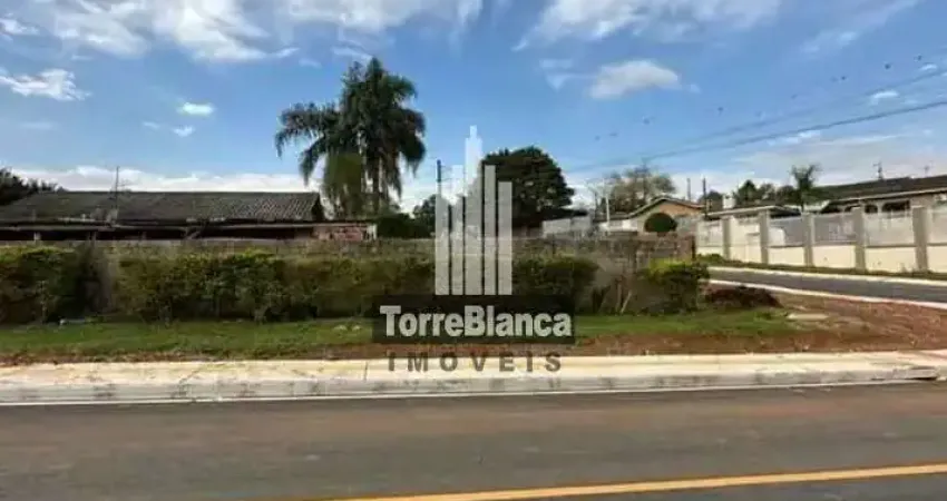 Terreno à venda na Rua Rosa Furiatti, Colônia Dona LuÍza, Ponta Grossa