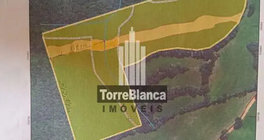 Terreno à venda na Rodovia PR-151, Bom Sucesso, Castro