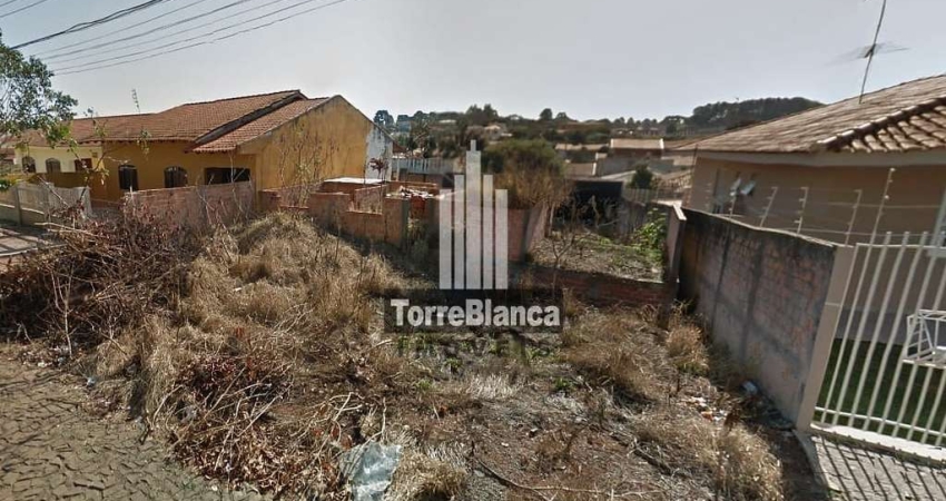 Terreno à venda na Rua José Floriano Peixoto Filho, Uvaranas, Ponta Grossa