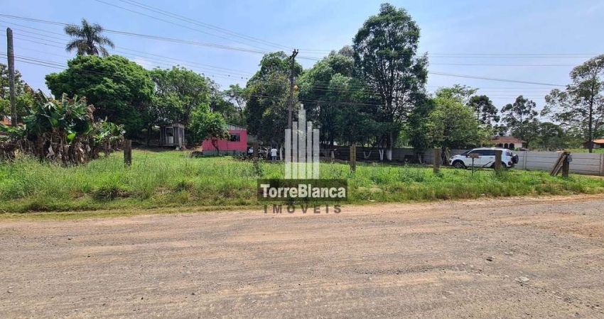Terreno à venda na Rua Edison Ribeiro, Piriquitos, Ponta Grossa