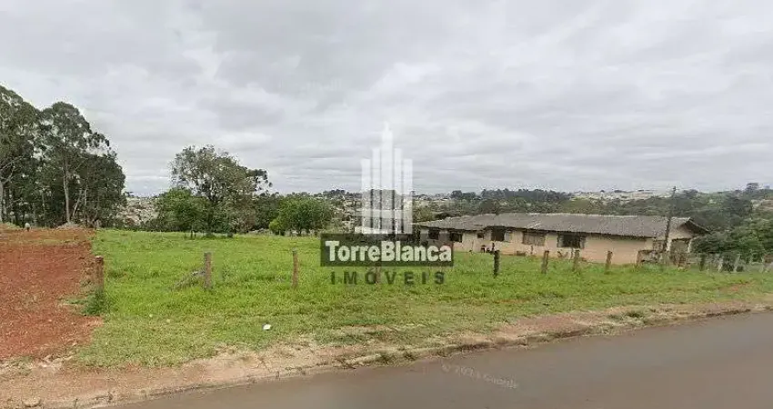 Terreno à venda na Rua José Koteski, Cará-cará, Ponta Grossa