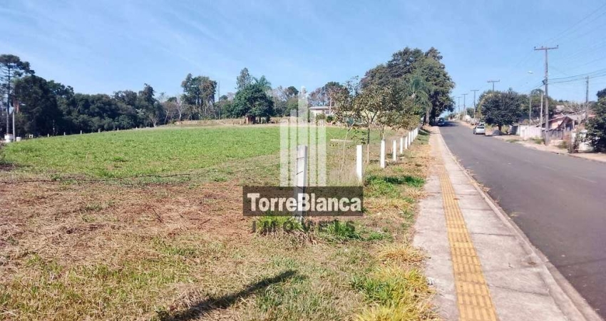 Terreno para locação area urbana , Chapada, Ponta Grossa, PR