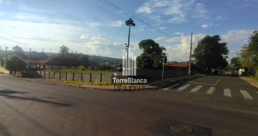 Terreno à venda na Rua Henrique Clock, Orfãs, Ponta Grossa