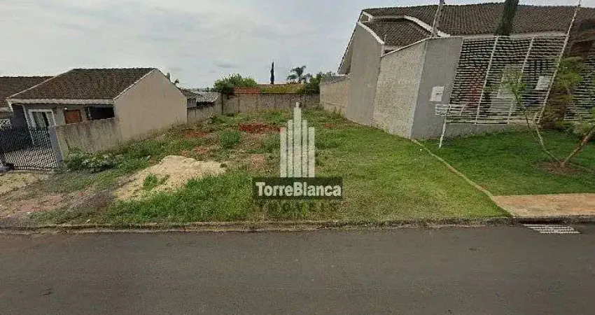 Terreno à venda na Rua Doutor Alves Maciel, Oficinas, Ponta Grossa
