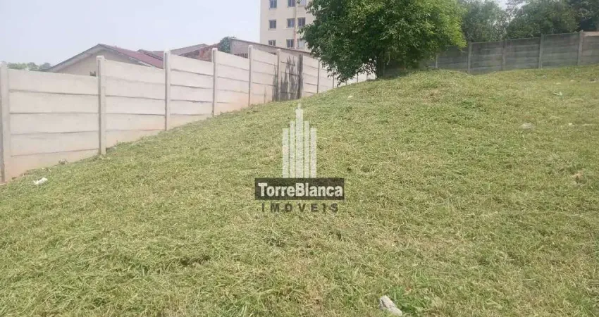 Terreno à venda na Rua Dario Veloso, Uvaranas, Ponta Grossa