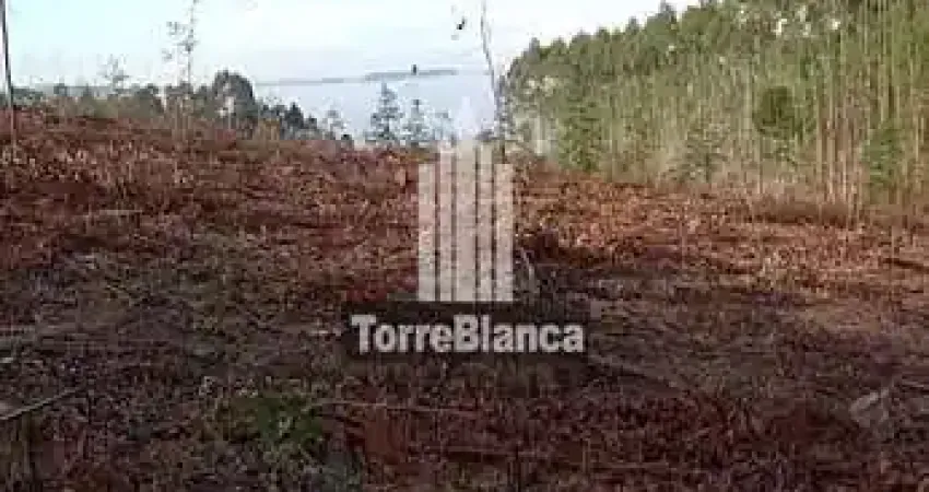 Terreno à venda na Caetano Mendes, Alto do Amparo, Tibagi