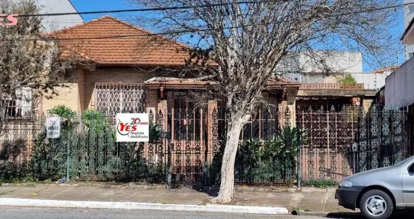 Terreno comercial à venda na Vila Santa Isabel, São Paulo