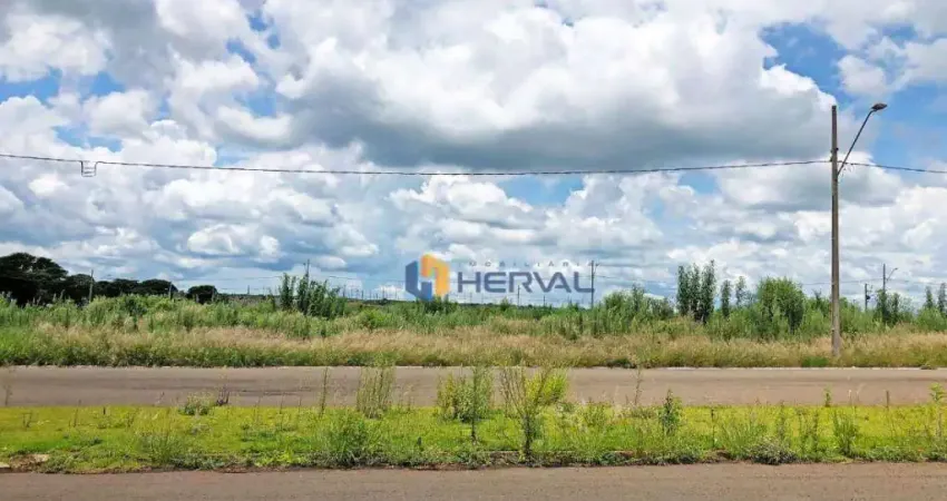 Terreno à venda, 301 m² por R$ 160.000 - Jardim dos Ipês, Sarandi