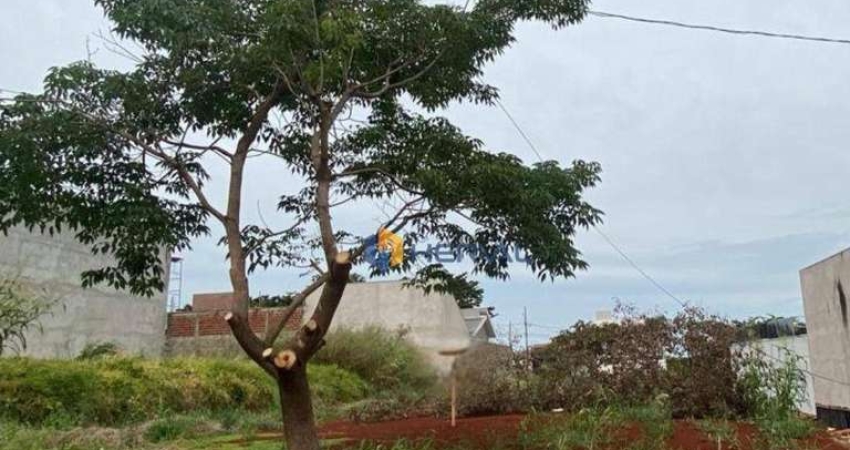 Terreno à venda, 480 m² por R$ 510.000,00 - Jardim Espanha - Maringá/PR
