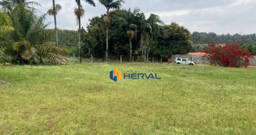 Terreno à venda, 1.570 m² por r$ 999.000 - parque industrial bandeirantes - maringá/pr