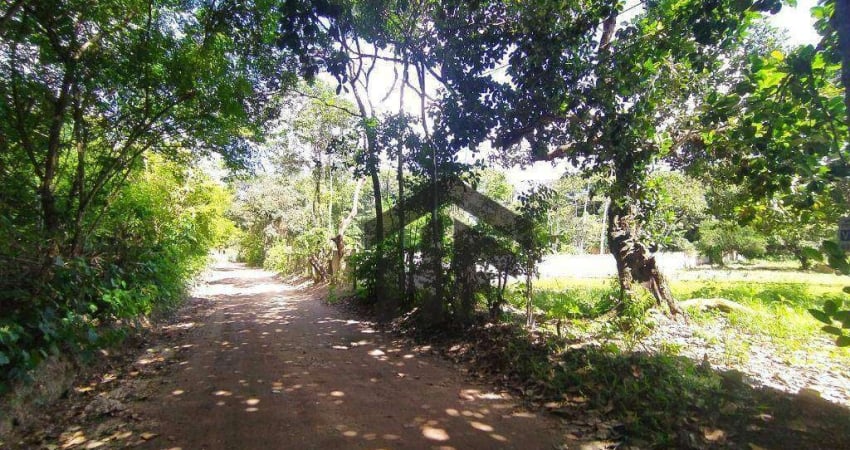 Terreno com 5000 m² em Aldeia, Camaragibe