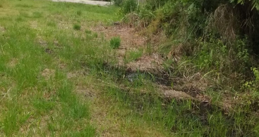 Terreno esquina c/ 442,50 m2  R$ 100.000,00 ( Praia do Ervino -SFS)