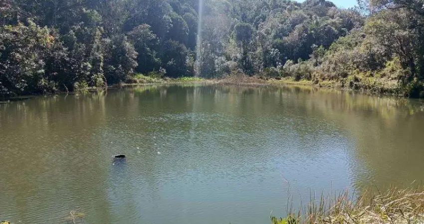 Chácara / sítio com 3 quartos à venda na Rua São Josemaria Escrivá, 10, Zona Rural, São José dos Pinhais