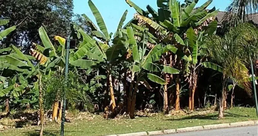 Terreno em condomínio fechado à venda na Avenida Rio Claro, Residencial Tamboré, Barueri