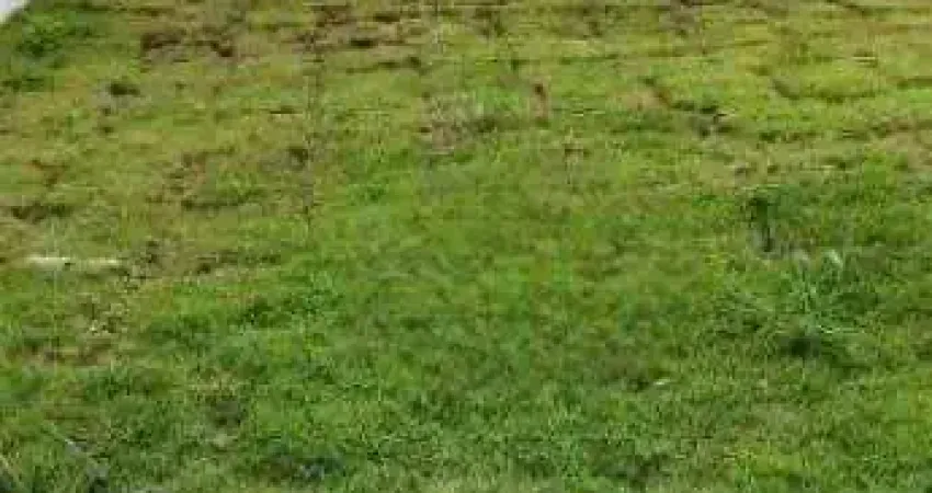 Terreno em condomínio fechado à venda na Alameda das Cássias, Tamboré, Santana de Parnaíba