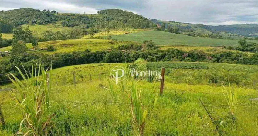Chácara / sítio com 3 quartos à venda na Fazenda Brasil, Zona Rural, Tamarana