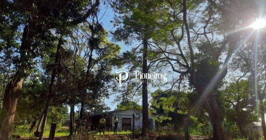 Chácara / sítio com 3 quartos à venda na Estrada Canaã, 67, Fazenda Nata, Londrina