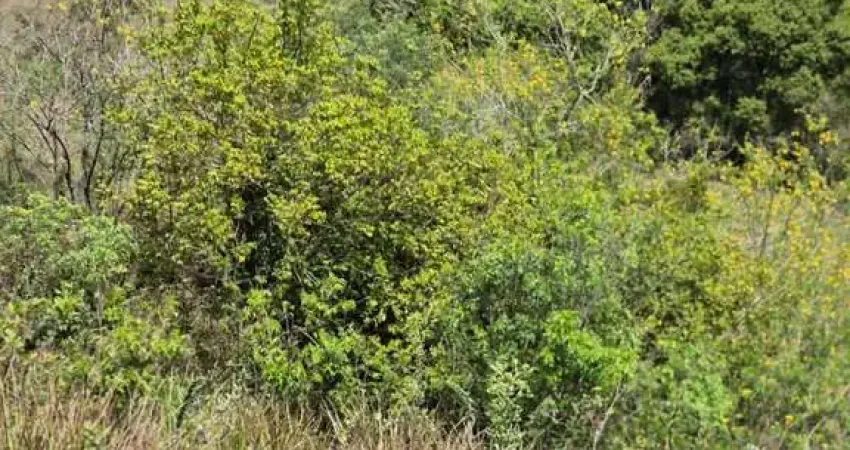 Terreno à venda na Estrada Ecoturística do Suru, 0,00, Suru, Santana de Parnaíba