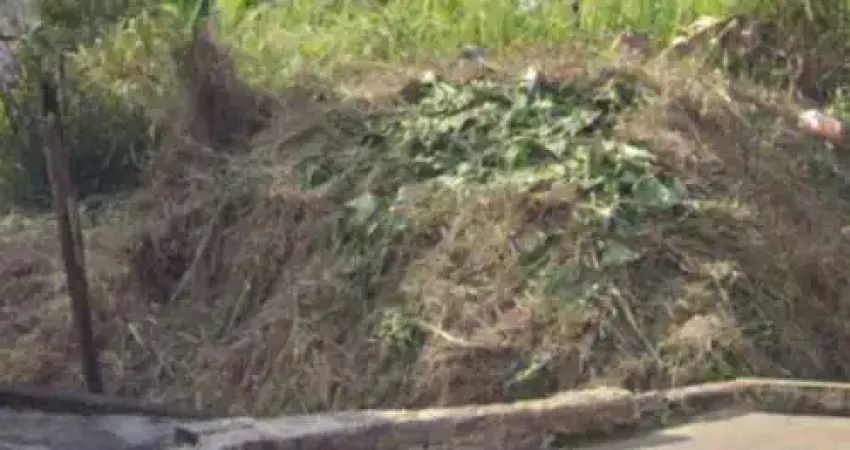 Terreno à venda na Rua João Damião, Jardim Rachel, Santana de Parnaíba