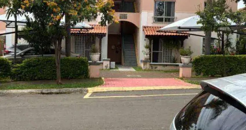 Apartamento com 3 dormitórios à venda, 67 m² por R$ 350.000,00 - Parque Villa Flores - Sumaré/SP
