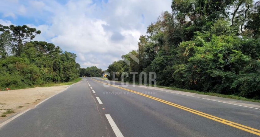 Área Rural a venda na Lapa  Rod. BR 476