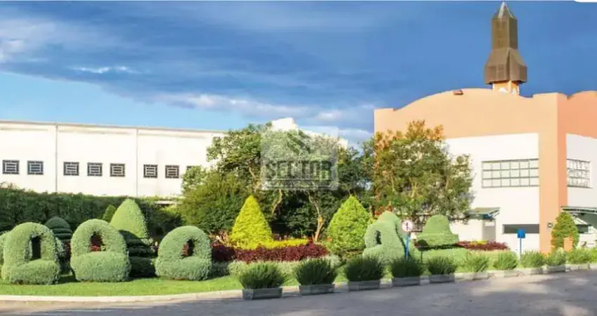 Galpão / depósito / armazém em são cristóvão - são josé dos pinhais