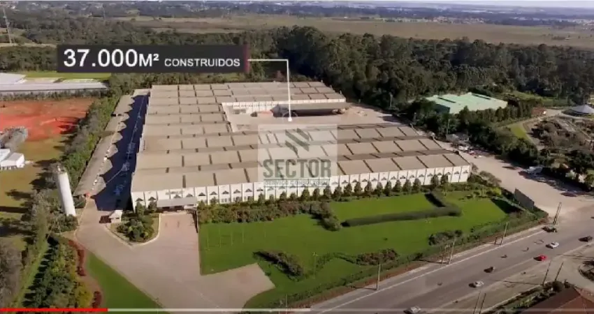 Barracão / Galpão / Depósito para alugar na Rod. Dep. João Leopoldo Jacomel, Jardim Primavera, Piraquara