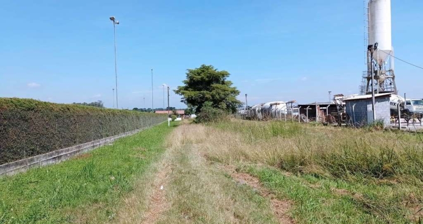 Terreno para locação em Costeira  -  São José dos Pinhais