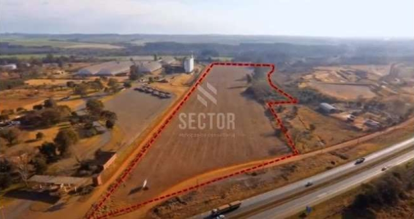 Ponto comercial para alugar na Rodovia BR-376, Colônia Dona LuÍza, Ponta Grossa
