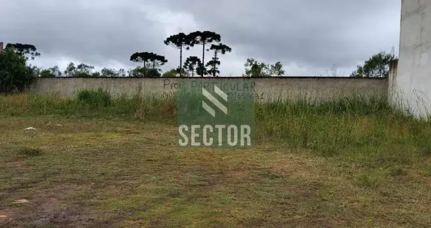 Ponto comercial à venda na Av. Sen. Souza Naves, Três Marias, São José dos Pinhais