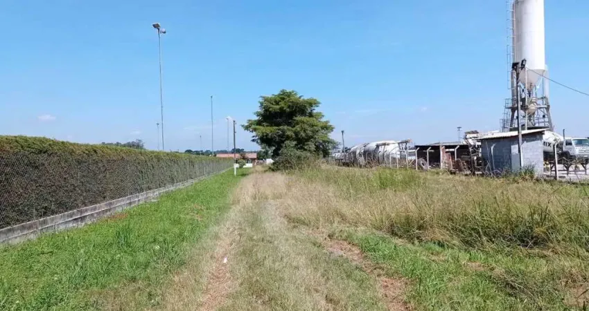 Casa comercial com 1 sala para alugar na Rua Doutor Murici, Costeira, São José dos Pinhais