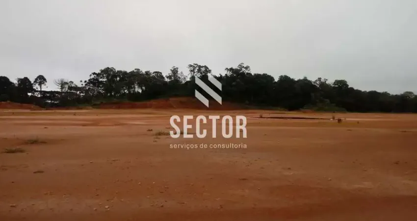 Casa comercial com 1 sala para alugar na Rua Elias Pedro Saade, Arujá, São José dos Pinhais