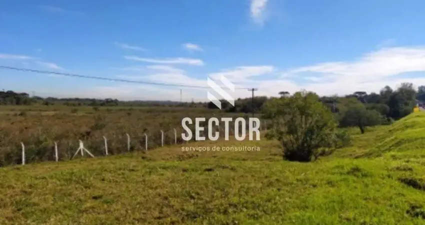 Casa comercial à venda na Rodovia BR-376, Miringuava, São José dos Pinhais