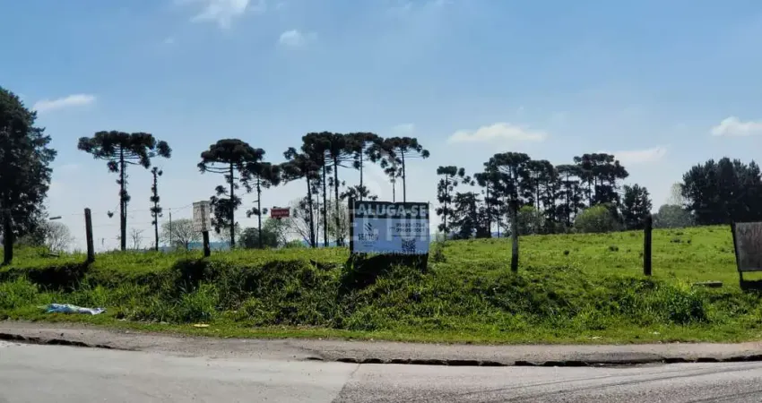 Terrenos / lotes / condomínio em rio pequeno - são josé dos pinhais