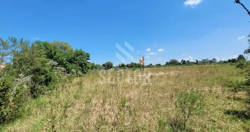 Casa comercial à venda na Rua Tavares de Lyra, Iná, São José dos Pinhais