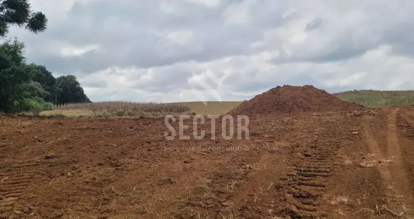 Casa comercial à venda na Rua Arnaldo Vosgerau, Quississana, São José dos Pinhais