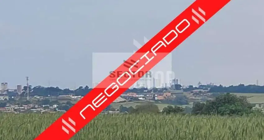 Casa comercial à venda na Rua Frei Tiago Lucchese, Piriquitos, Ponta Grossa