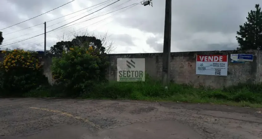 Casa comercial à venda na Rua Onairto Serrato, Academia, São José dos Pinhais