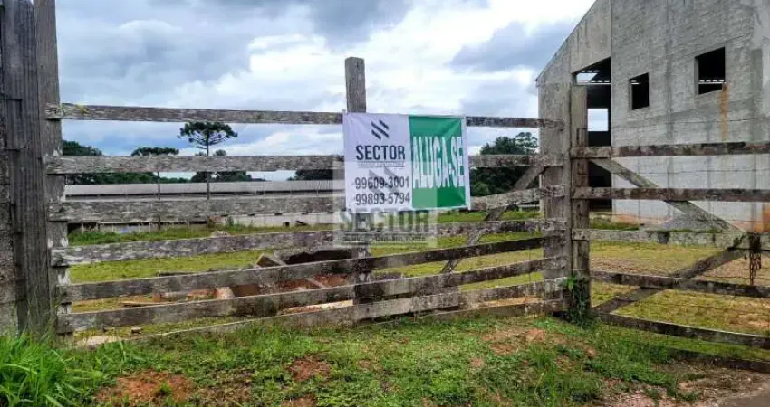 Galpão para locação no Barro Preto  -  São José dos Pinhais