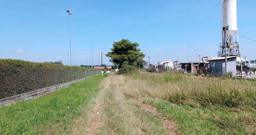 Terreno para locação em Costeira  -  São José dos Pinhais