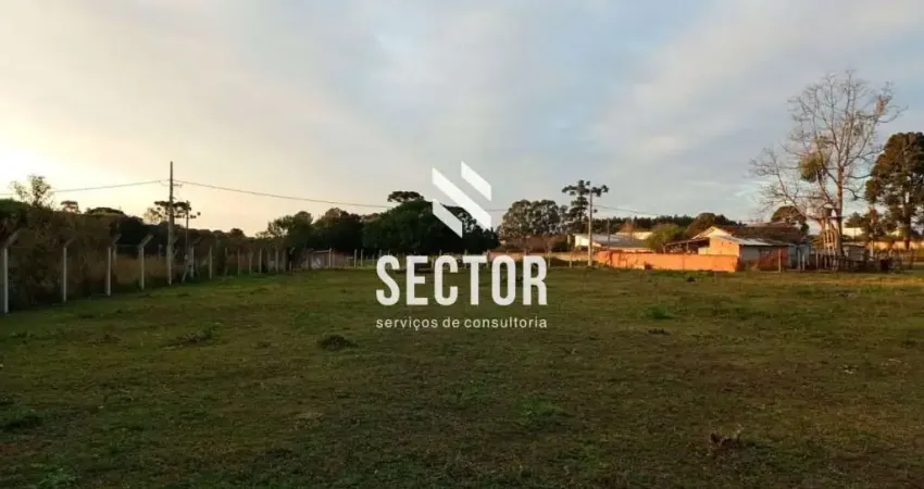 Terreno para locação São José dos Pinhais - Rio Pequeno