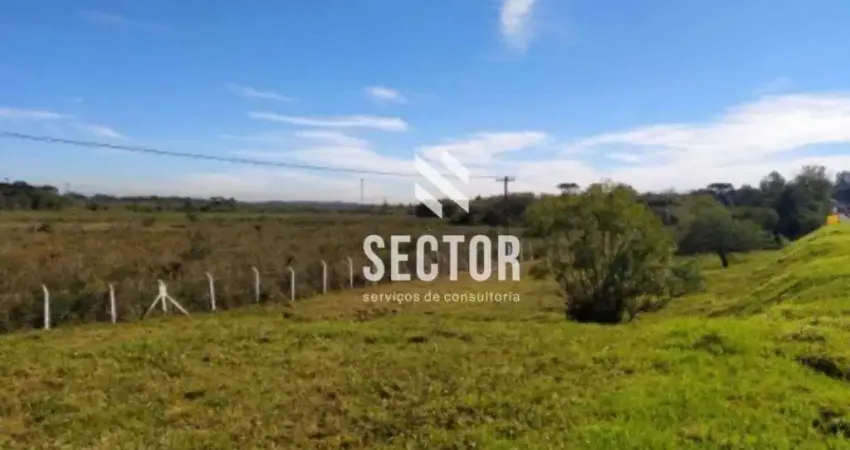 Ponto comercial à venda na Rodovia BR-376, Miringuava, São José dos Pinhais