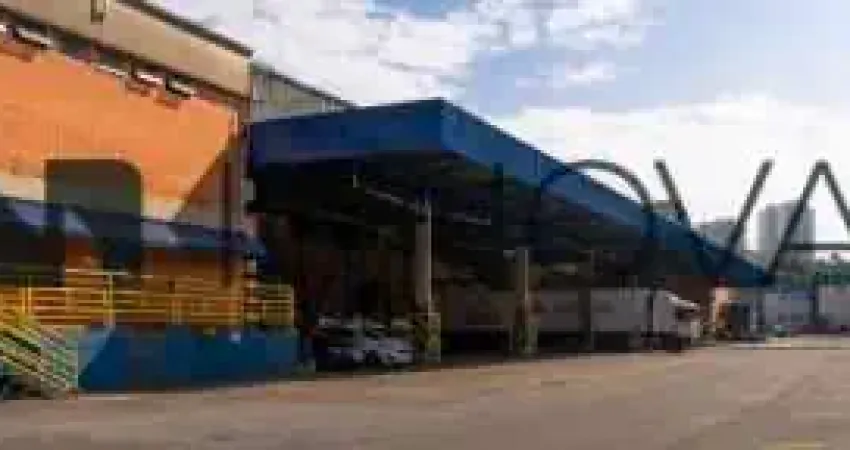 Barracão / Galpão / Depósito para alugar na Rua Jerônimo Teles Júnior, 54, Pirituba, São Paulo