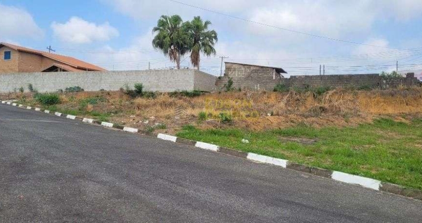 Terreno à venda, 515 m² por R$ 410.000 - Loteamento Vila Ariene - Pindamonhangaba/SP