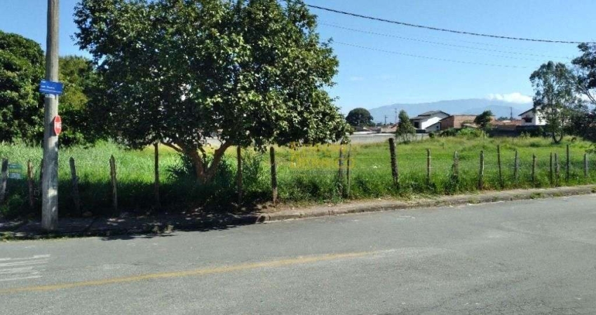 Terreno à venda, 302 m² por R$ 225.000 - Alto do Cardoso - Pindamonhangaba/SP