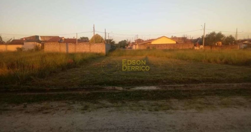 Terreno à venda, 250 m² por R$ 115.000,00 - Residencial E Comercial Portal dos Eucaliptos - Pindamonhangaba/SP