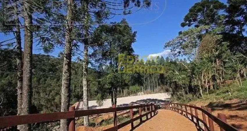 Haras à venda, 145200 m² por R$ 6.500.000,00 - Sítio - São Bento do Sapucaí/SP
