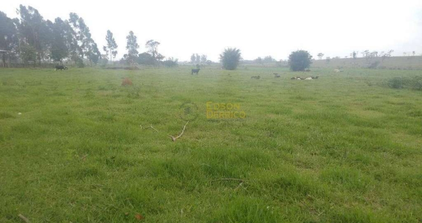 Terreno rural à venda, Jardim Regina, Pindamonhangaba.