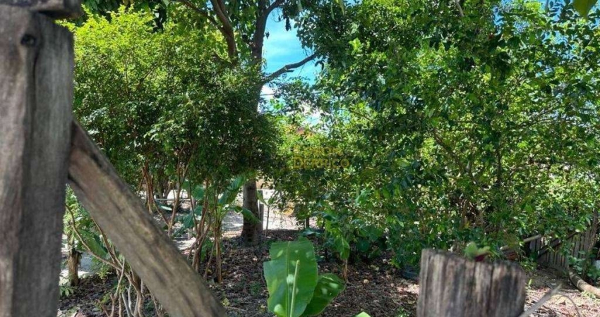 Terreno à venda, 253 m² por R$ 115.000,00 - Conjunto Habitacional Terra dos Ipês I (Norte) - Pindamonhangaba/SP